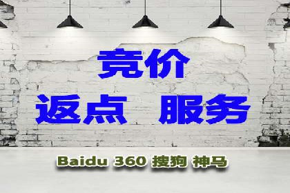 充值高返点的成功之路：多角度案例分析
